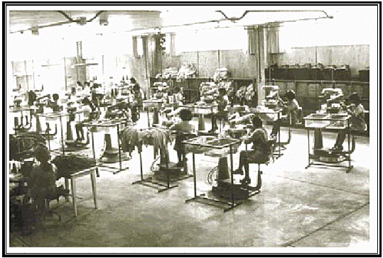 Reglamento de Educación Bilingue