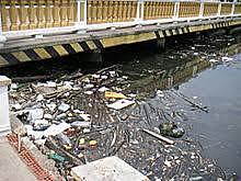 Problemas ambientales