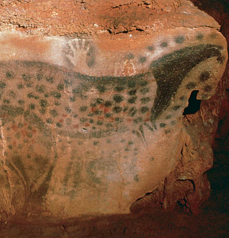 Spotted Horses and Human Hands