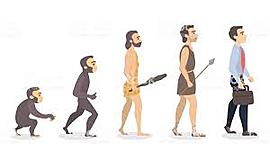 Timeline: Infografía: bases y desarrollo histórica de la administración