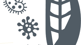 Timeline: Historia de la Fitopatologia- Carlos Paez UNAD