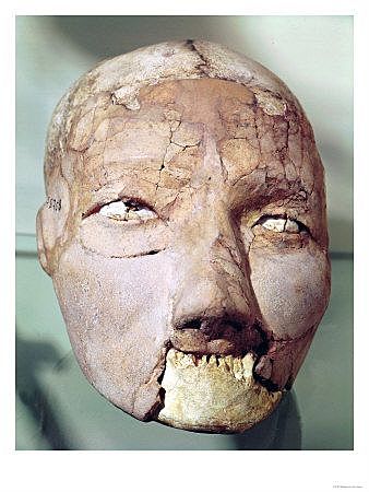 Neolithic Plastered Skull