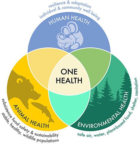 Concepto de una sola salud