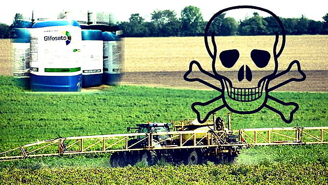Estudios en humanos expuestos al glifosato