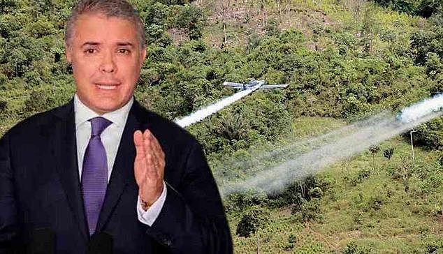 Ivan Duque y la retoma del glifosato