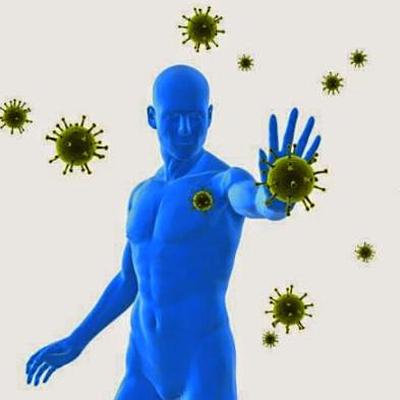 Timeline: DESARROLLO DE LA EPIDEMIOLOGIA