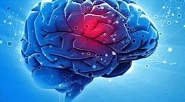 Timeline: HISTORIA DE LA PSICOPATOLOGÍA