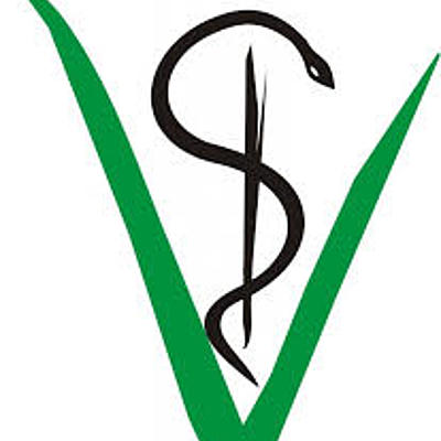 Timeline: Historia de la Medicina Veterinaria