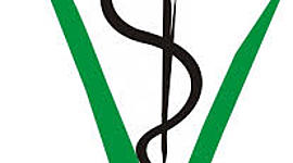 Timeline: Historia de la Medicina Veterinaria