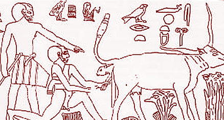 Papiro Kahun, texto médico más antiguo