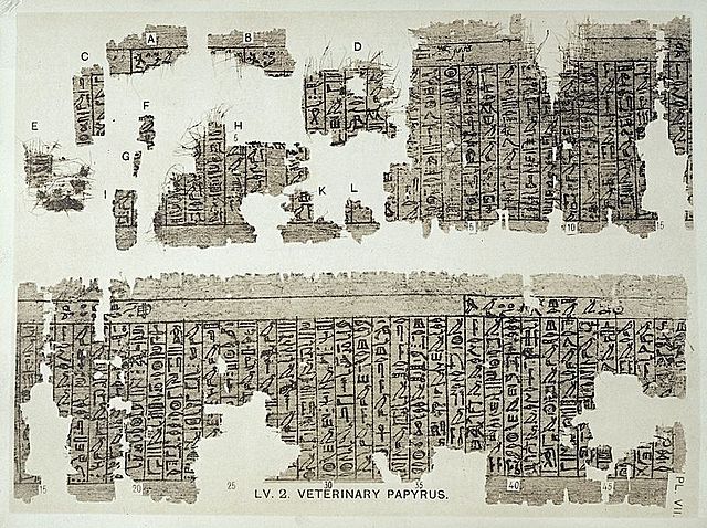 Los papiros egipcios.