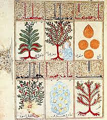 Andrómaco de Creta (68-54a.n.e)