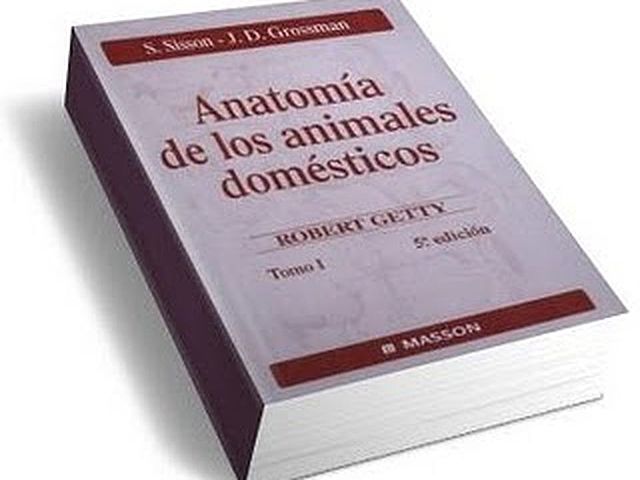 Anatomía de los animales domésticos.