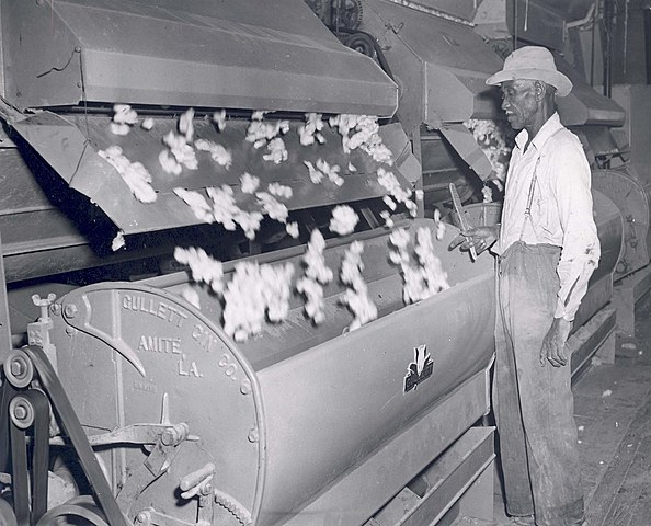 The invention of the cotton gin