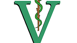 Timeline: Historia de la Medicina Veterinaria