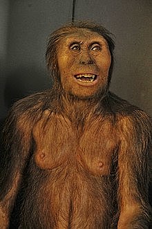 Australopithecus (monos del sur) - hace 4 millones de años hasta los dos millones de años
