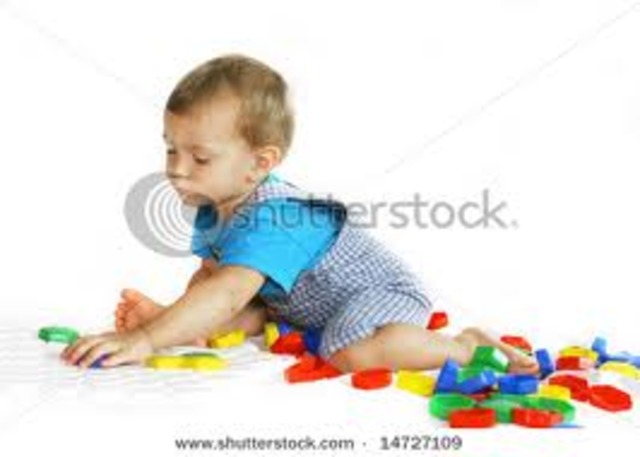 year 1 Intellectual Developmental Milestones