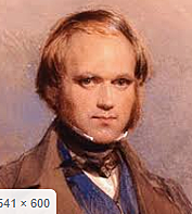 La Teoría de las Especies