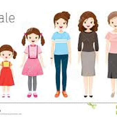 Timeline: linea del tiempo sobre mi vida