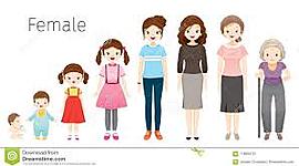 Timeline: linea del tiempo sobre mi vida