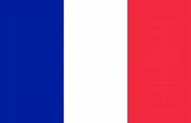 LEY DE BALANCES SOCIALES EN FRANCIA