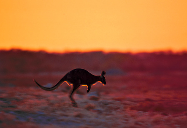 australia independence