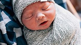 Timeline: linea de tiempo de cometa