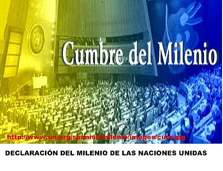 LA CUMBRE DEL MILENIO "EL MEDIO AMBIENTE Y LA ONU"