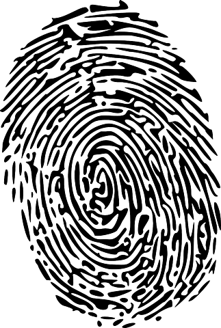 2010. Acontecimientos