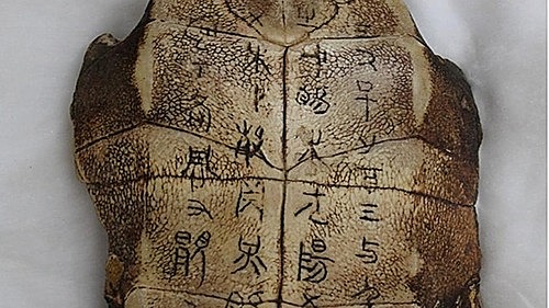 Diagnósticos en equinos