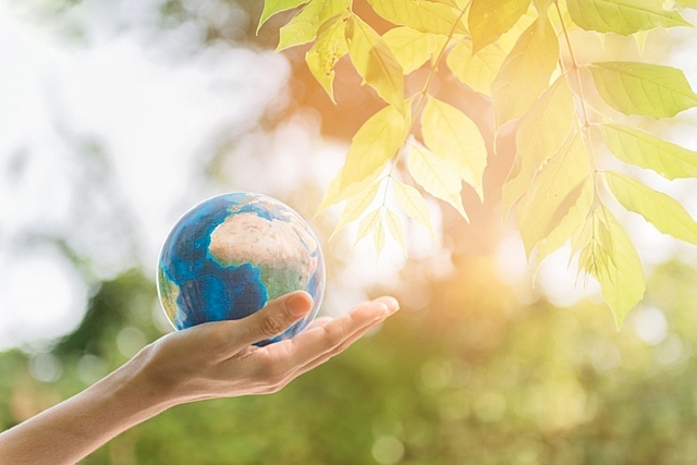 Optimizacion en la calidad de vida