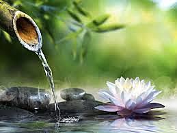 Medicina Alternativa