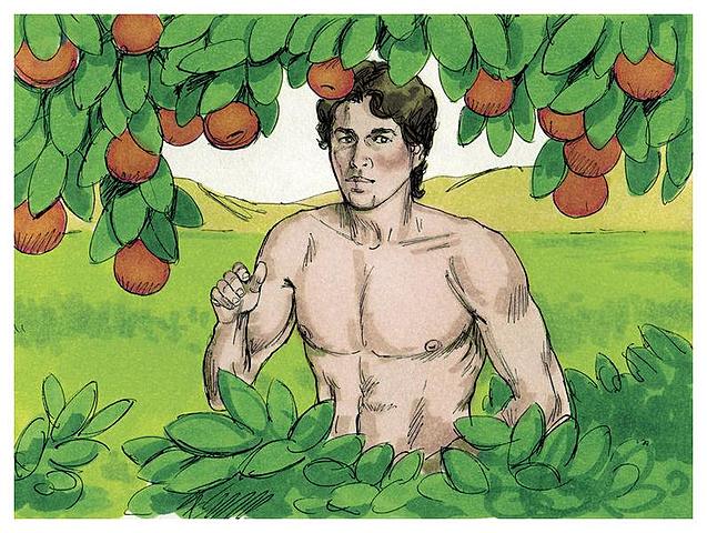 Creación de Adán y Eva