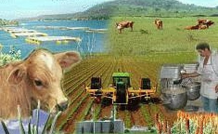 Real Cédula / Valladolid.