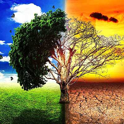 Timeline: La problemática ambiental en Colombia