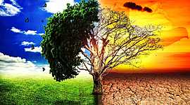 Timeline: La problemática ambiental en Colombia