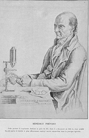 Aporte de Isaac-Bénédict Prévost