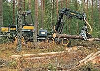 Explotación forestal