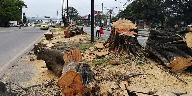 Actividades industriales