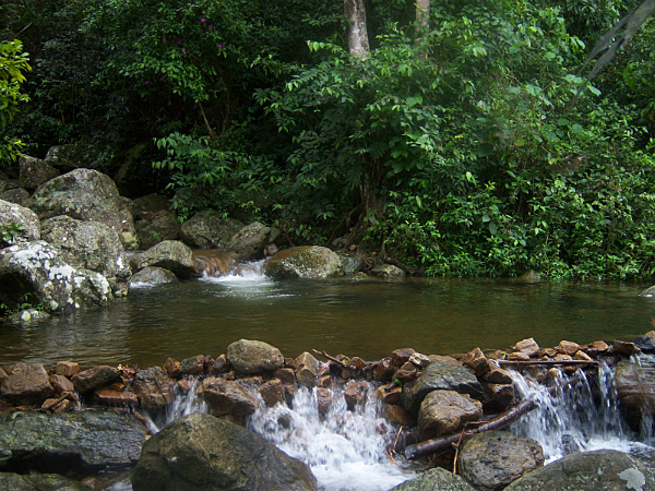 Primer caso de lluvia ácida en Argentina, Puerto Rico, Misiones.
