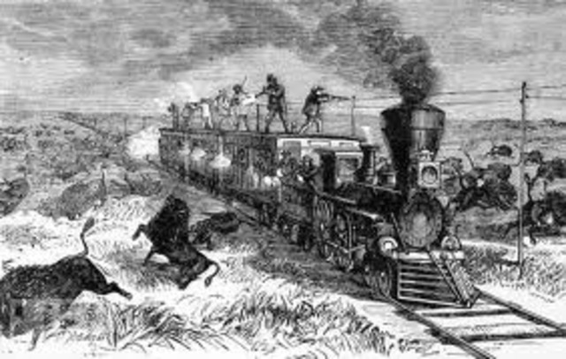 Buffalo are hunted to near extinction.