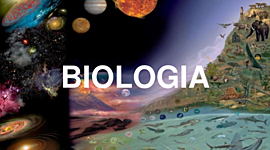 Timeline: El origen de del universo y origen de la vida