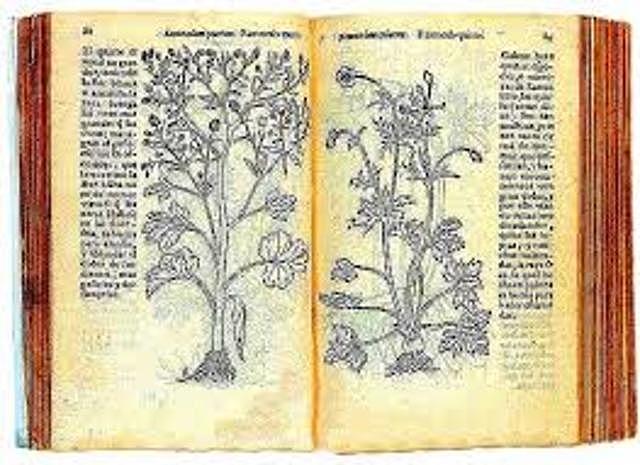 SIGLO XI - XII ESCRITO "MACER FLORIDUS"