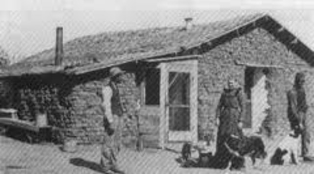 The Timber Culture Act