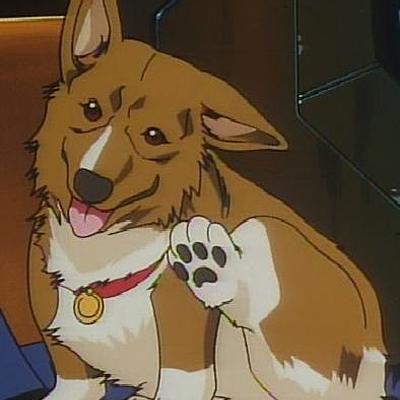 Timeline: La historia de la Veterinaria