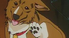 Timeline: La historia de la Veterinaria