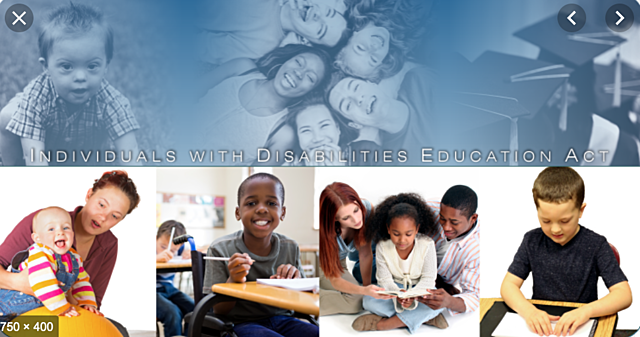 Individuals with Disabilities Education Improvement Act (IDEIA)