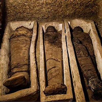 Timeline: Historia de la medicina Veterinaria