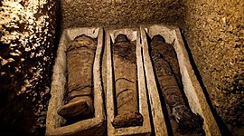 Timeline: Historia de la medicina Veterinaria