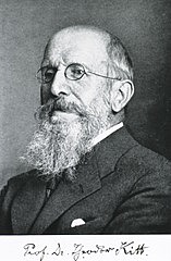 Theodor Kitt